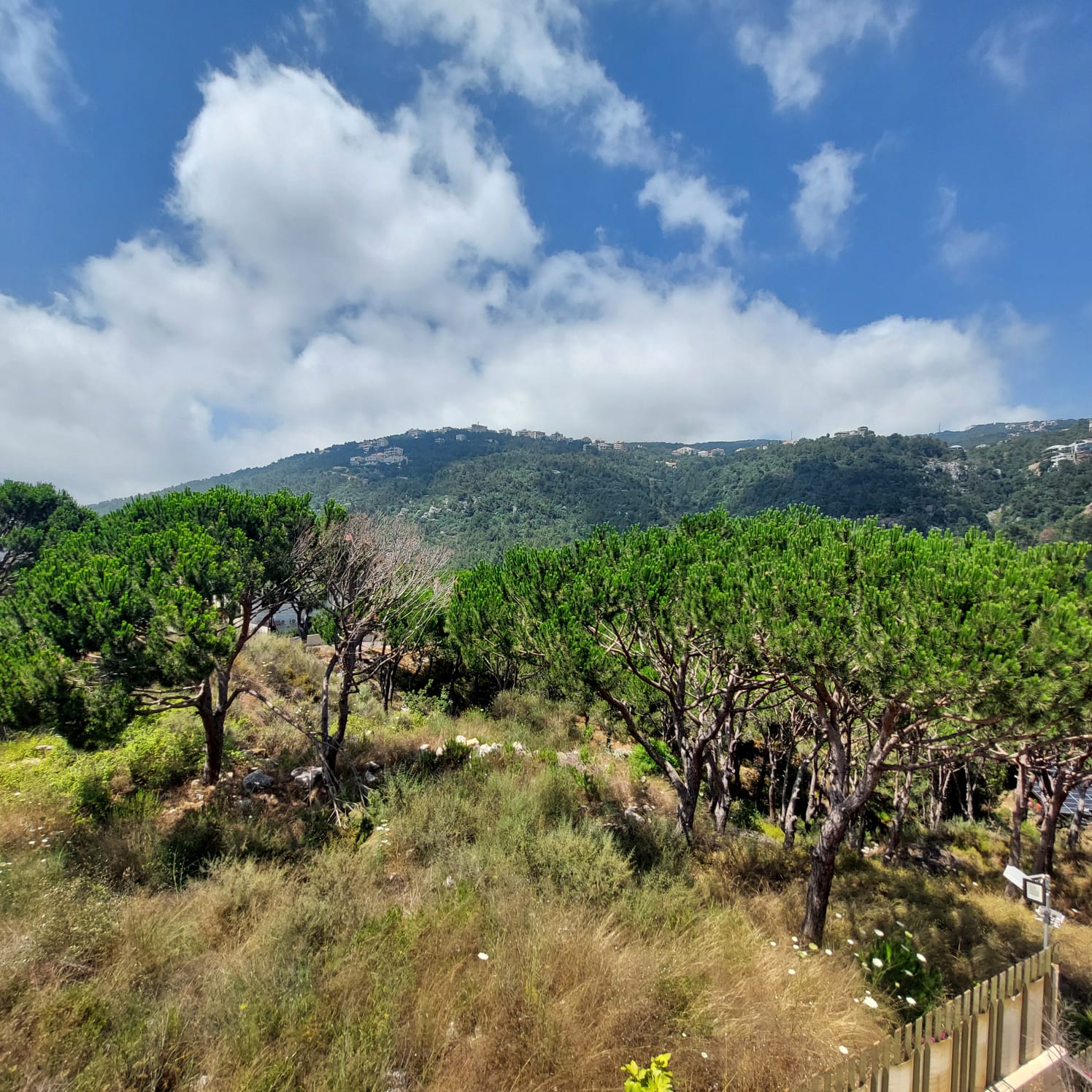 Rabwi land for sale